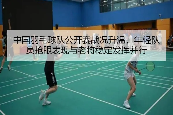 中国羽毛球队公开赛战况升温，年轻队员抢眼表现与老将稳定发挥并行